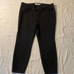Torrid Size 20R Black Jeans